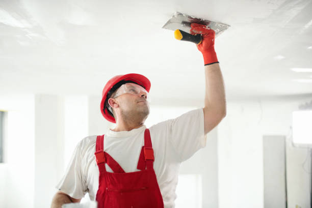 Best Commercial Mold Inspection  in Timberlake, VA