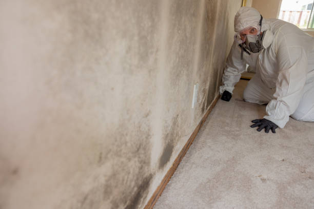 Asbestos and Lead Testing During Mold Inspection in Timberlake, VA